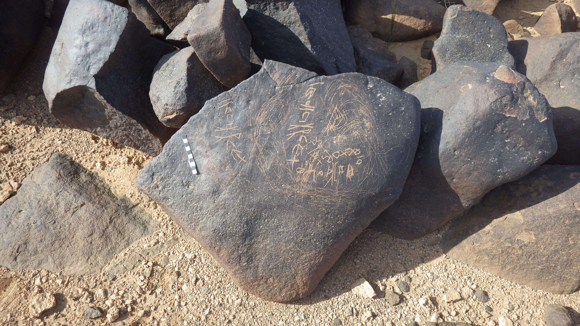 Rimg4200.jpg