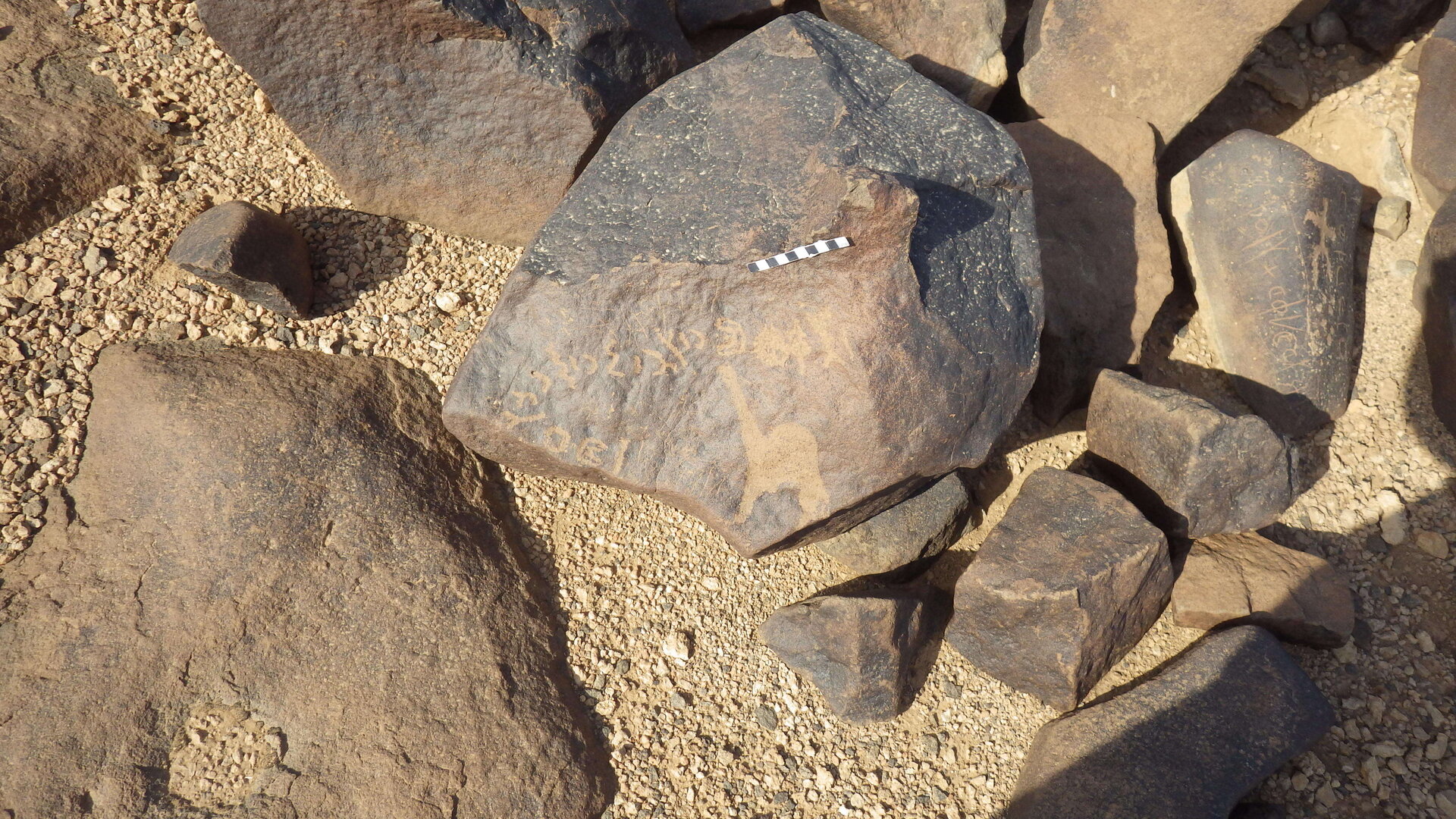 Rimg4238.jpg