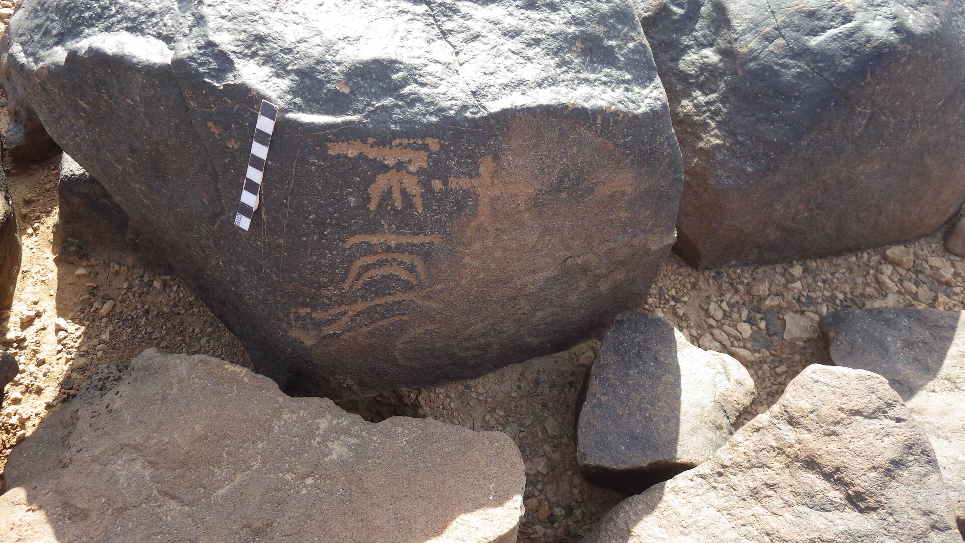 Rimg4247.jpg