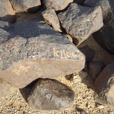 Rimg4273.jpg