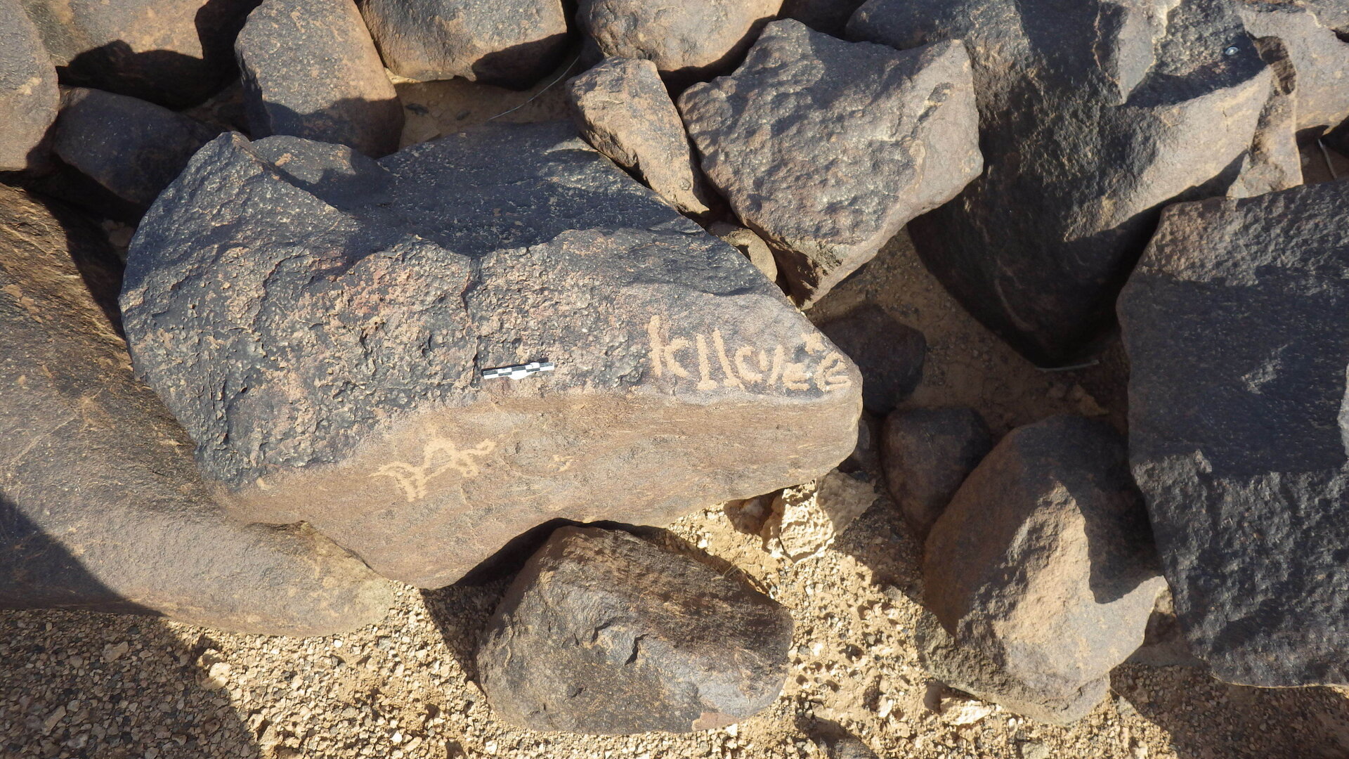 Rimg4273.jpg