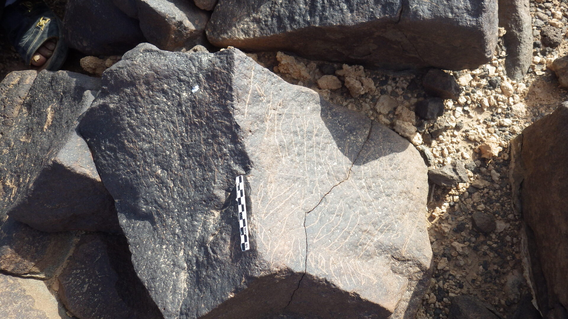 Rimg2084.jpg