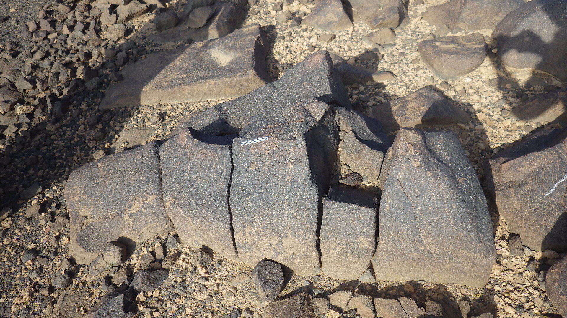 Rimg2102.jpg