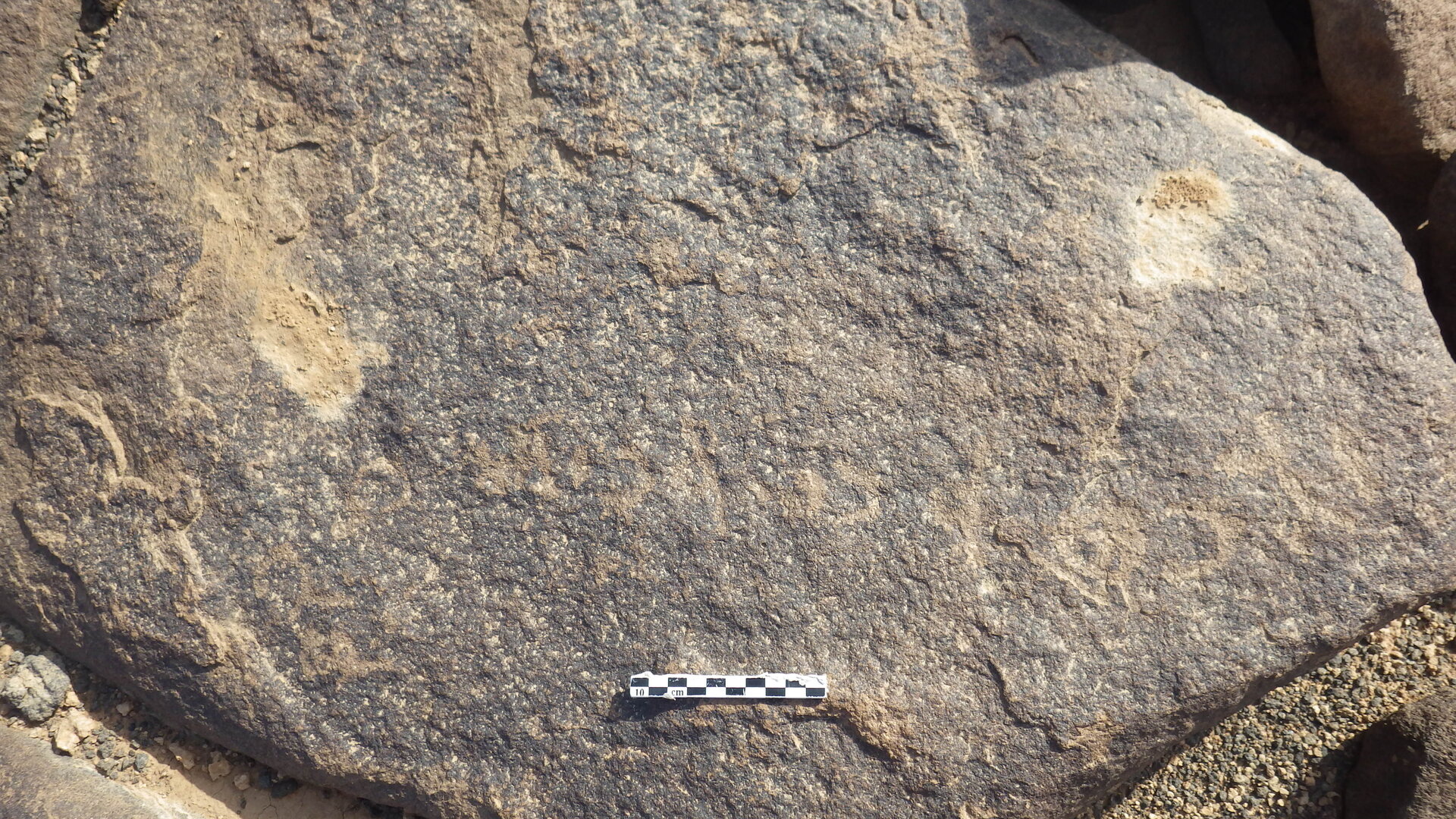 Rimg2125.jpg