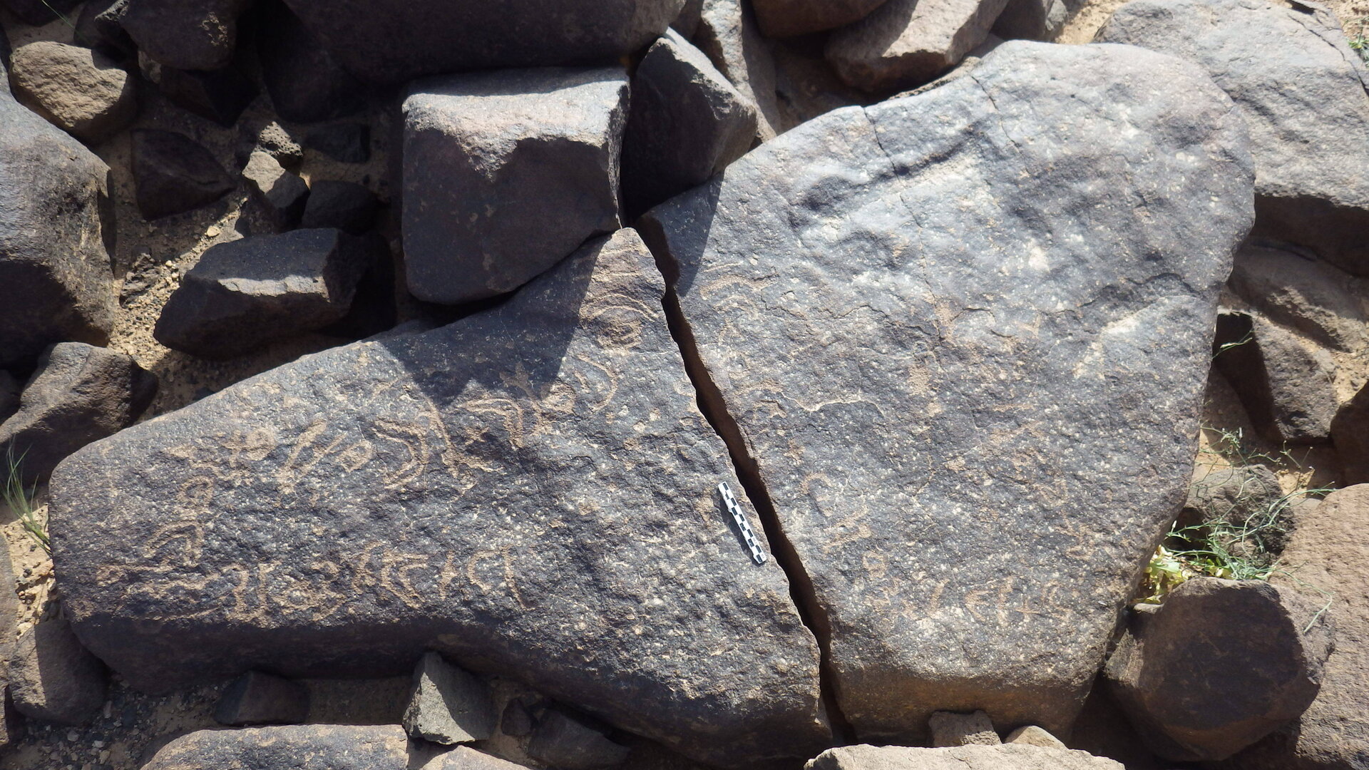 Rimg2129.jpg