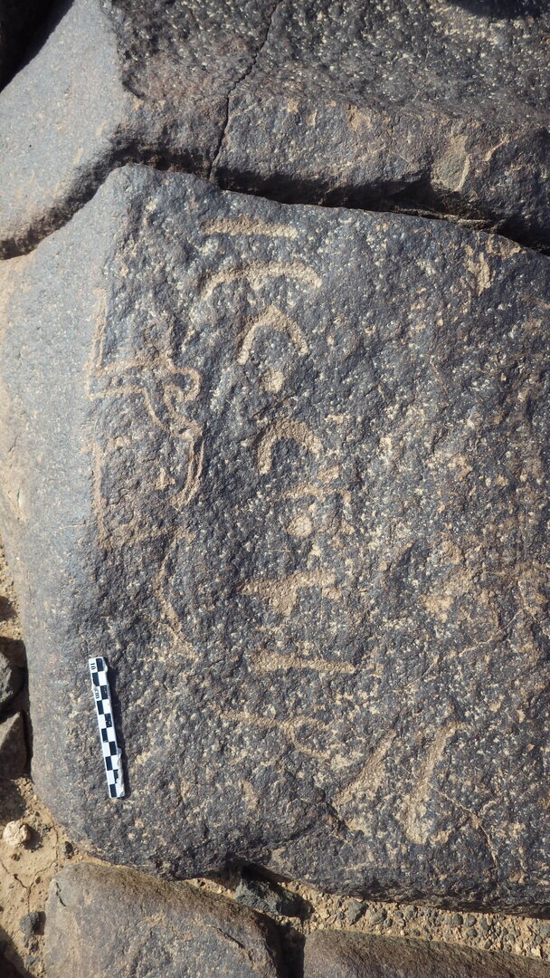 Rimg2143.jpg