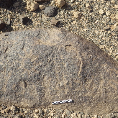 Rimg2147.jpg