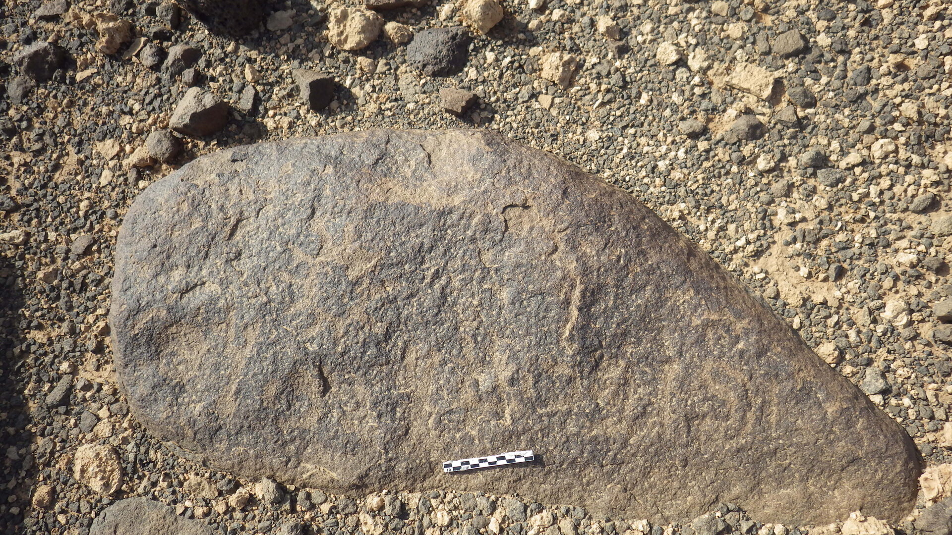 Rimg2147.jpg