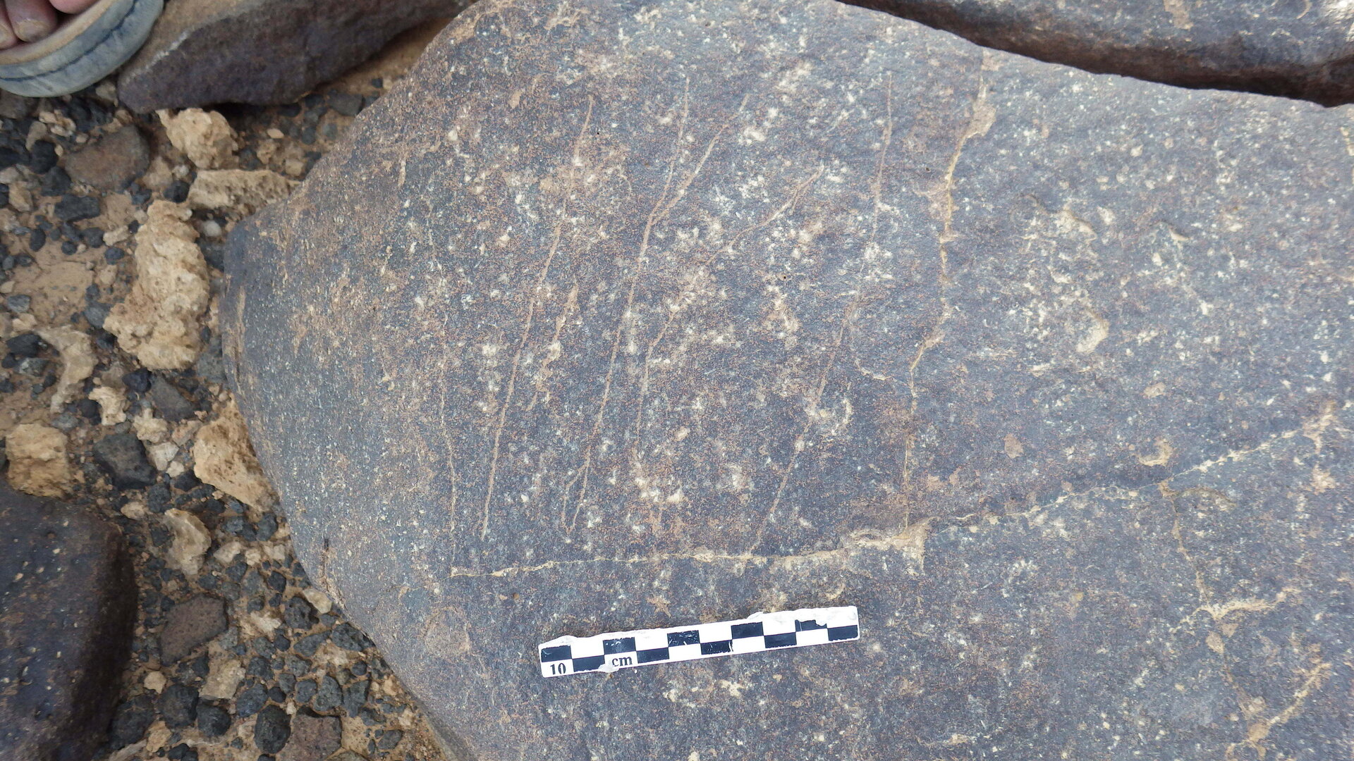 Rimg2165.jpg