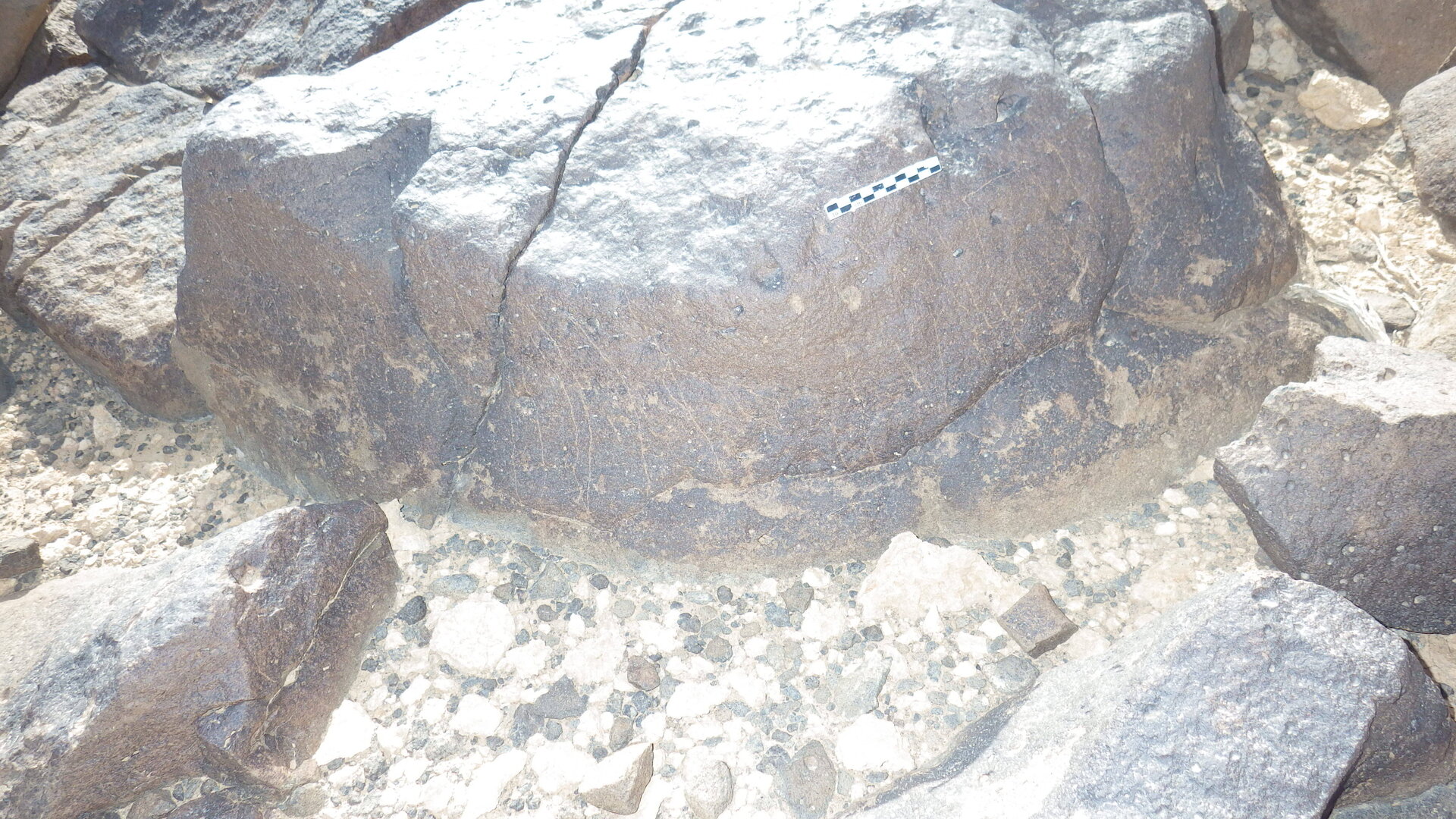 Rimg2199.jpg