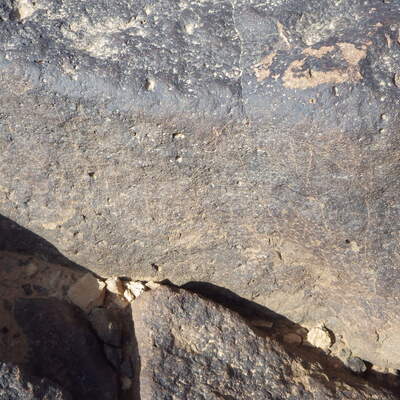 Rimg2213.jpg