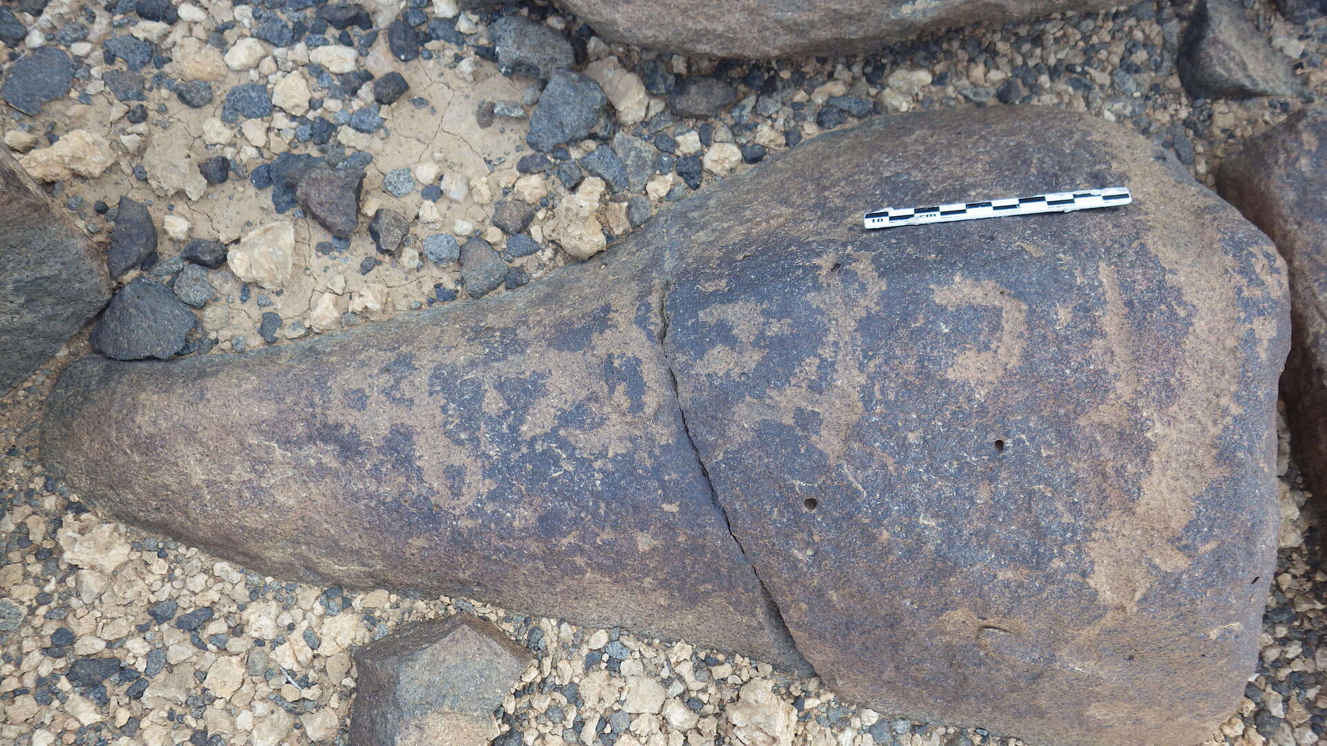 Rimg2216.jpg
