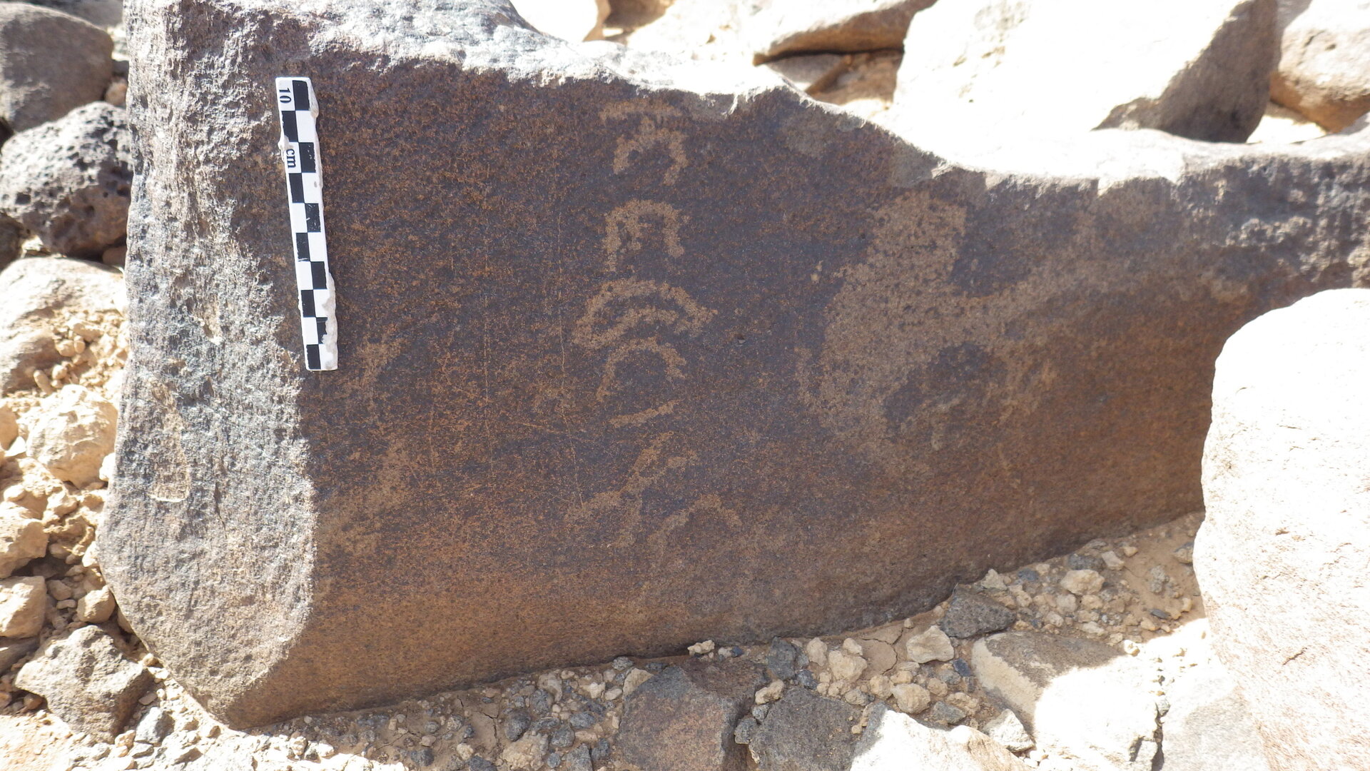 Rimg2224.jpg