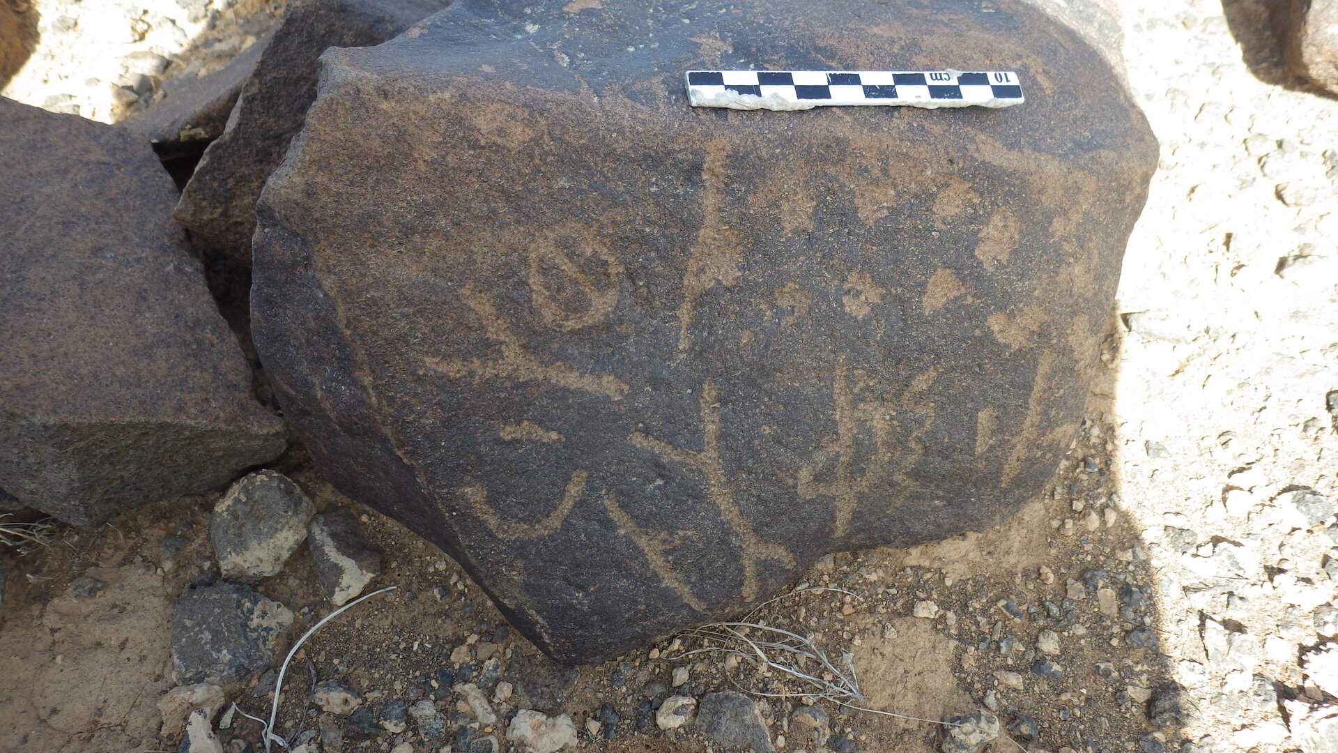 Rimg2236.jpg