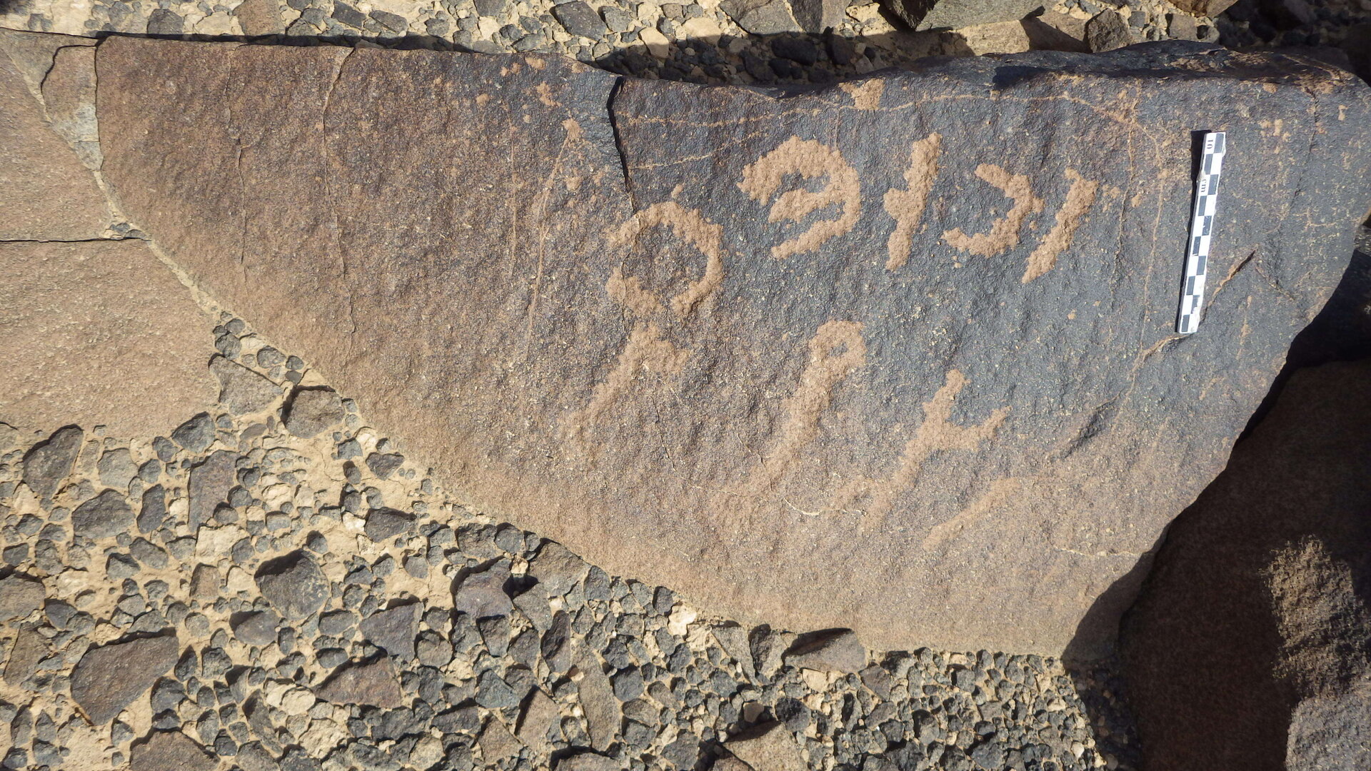 Rimg2257.jpg