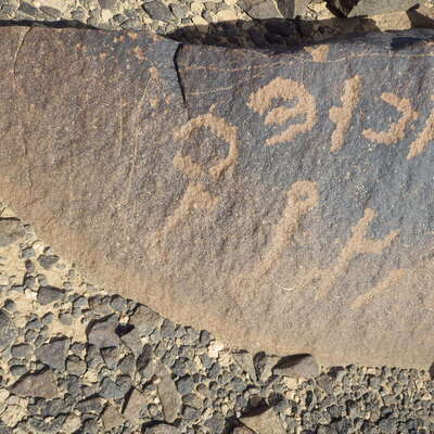 Rimg2257.jpg