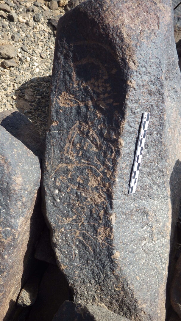 Rimg2315.jpg