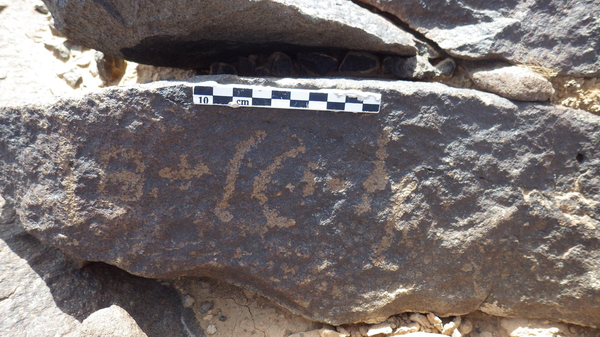Rimg2328.jpg
