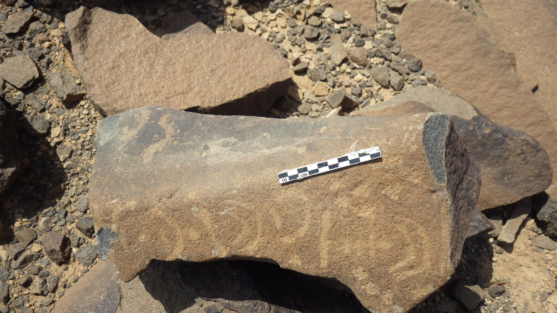 Rimg2367.jpg