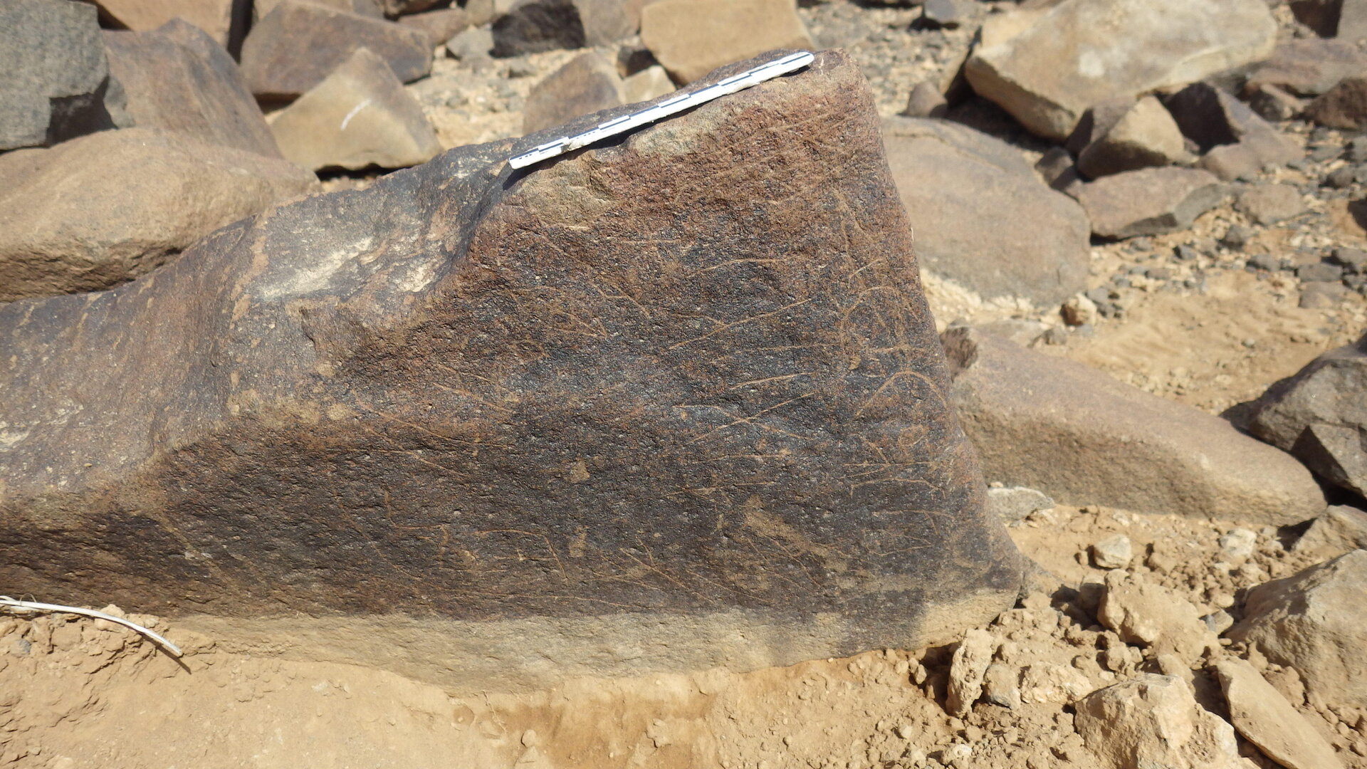 Rimg2377.jpg