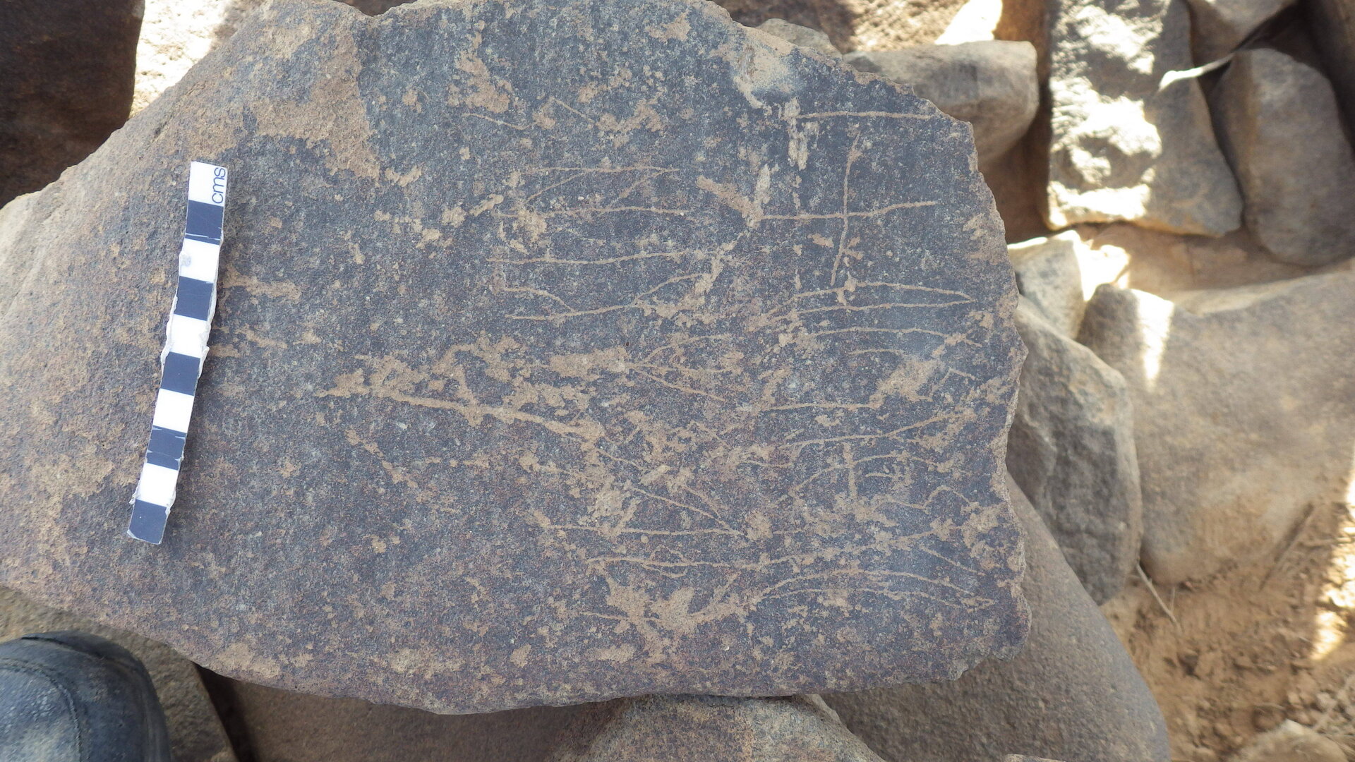 Rimg3514.jpg