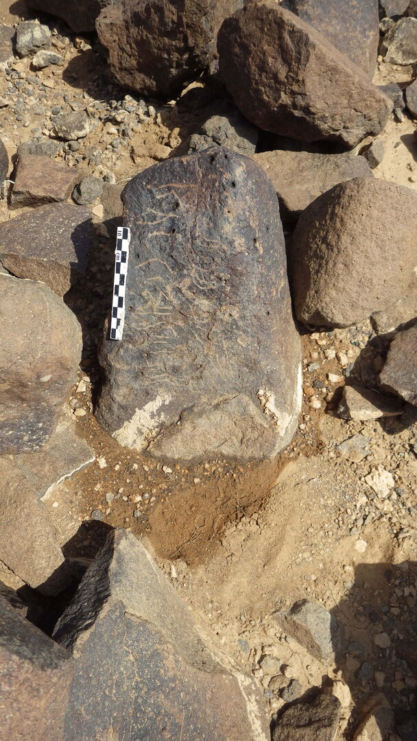 Rimg2455.jpg