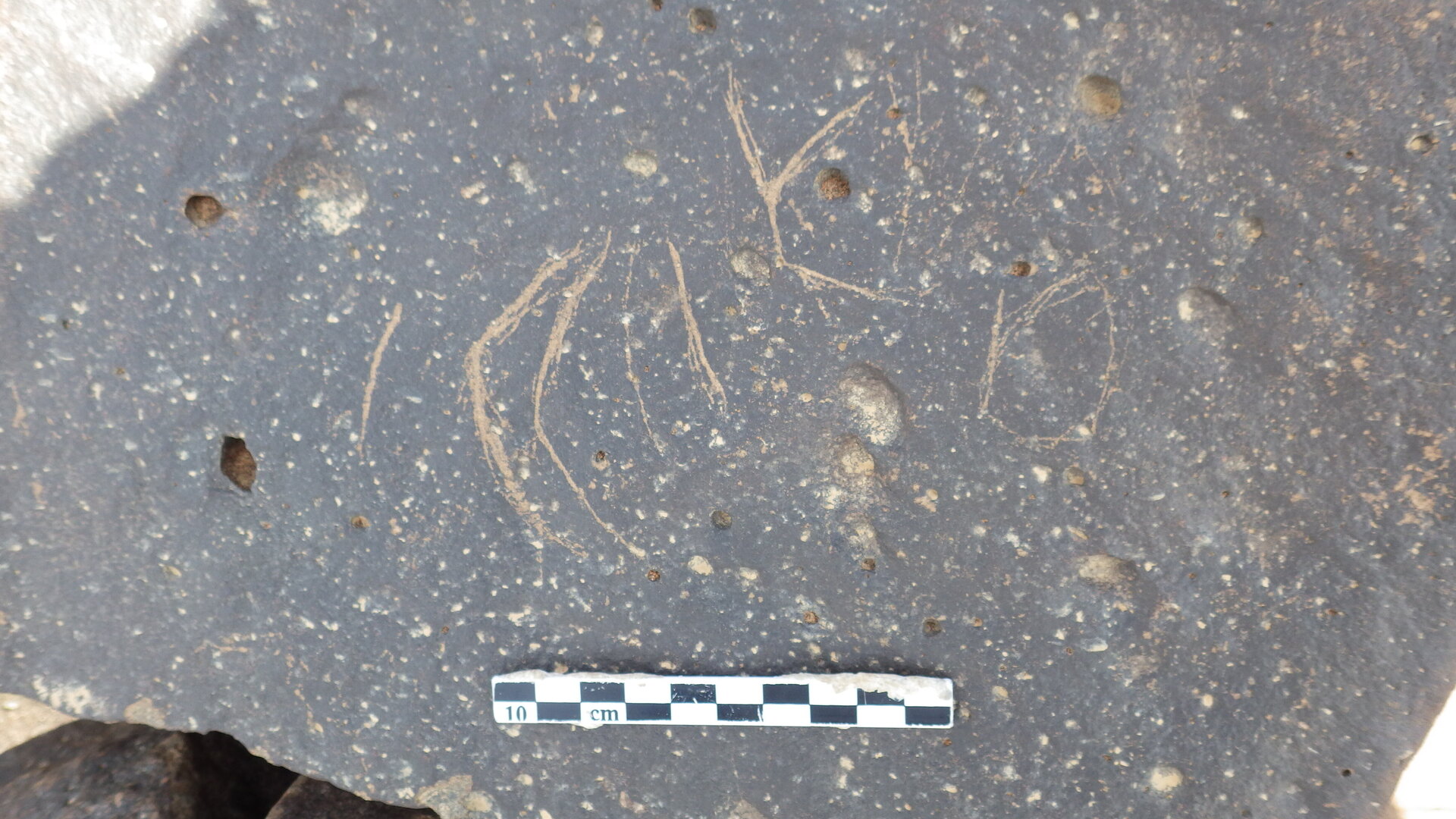 Rimg2491.jpg