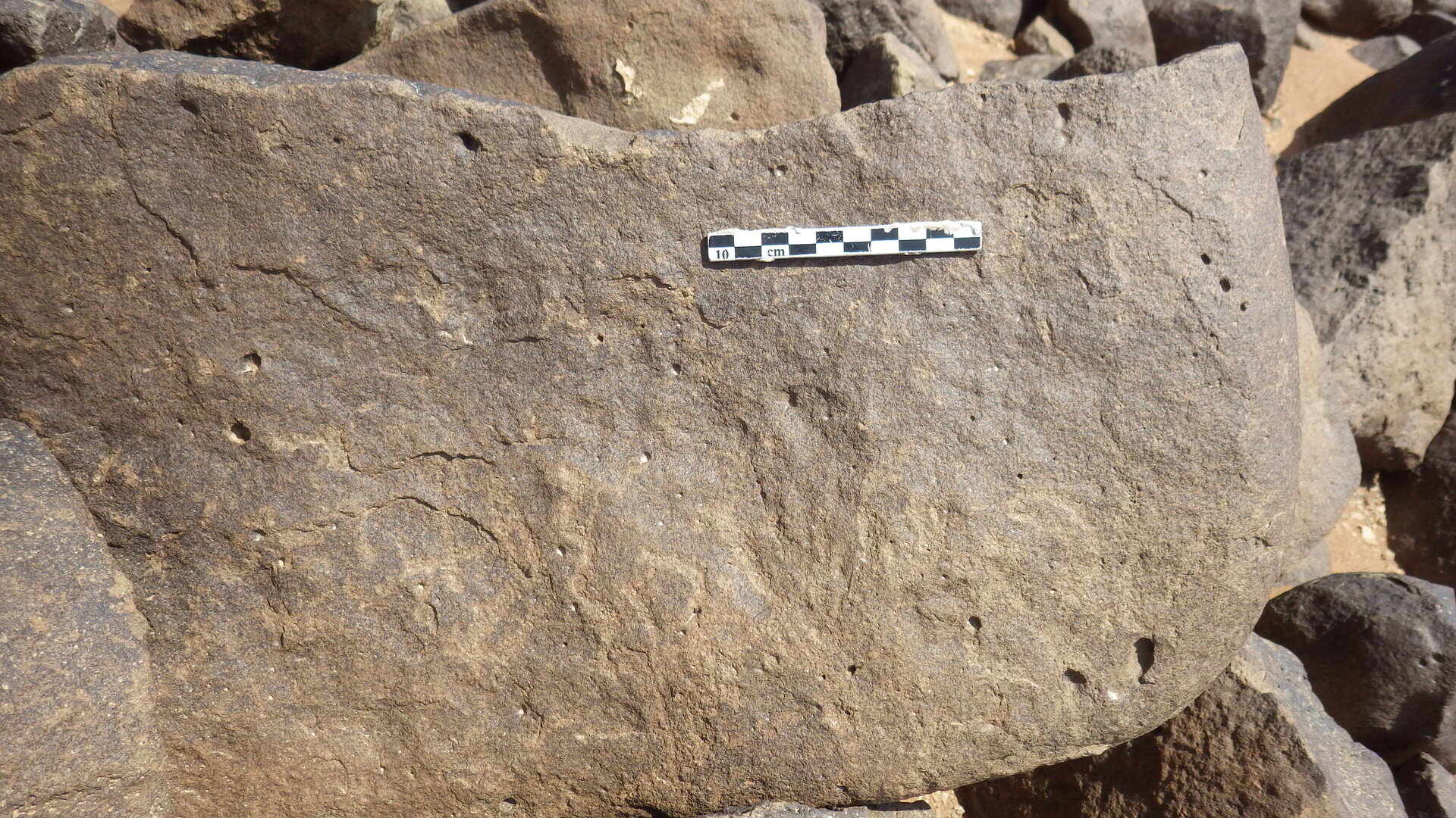Rimg2512.jpg