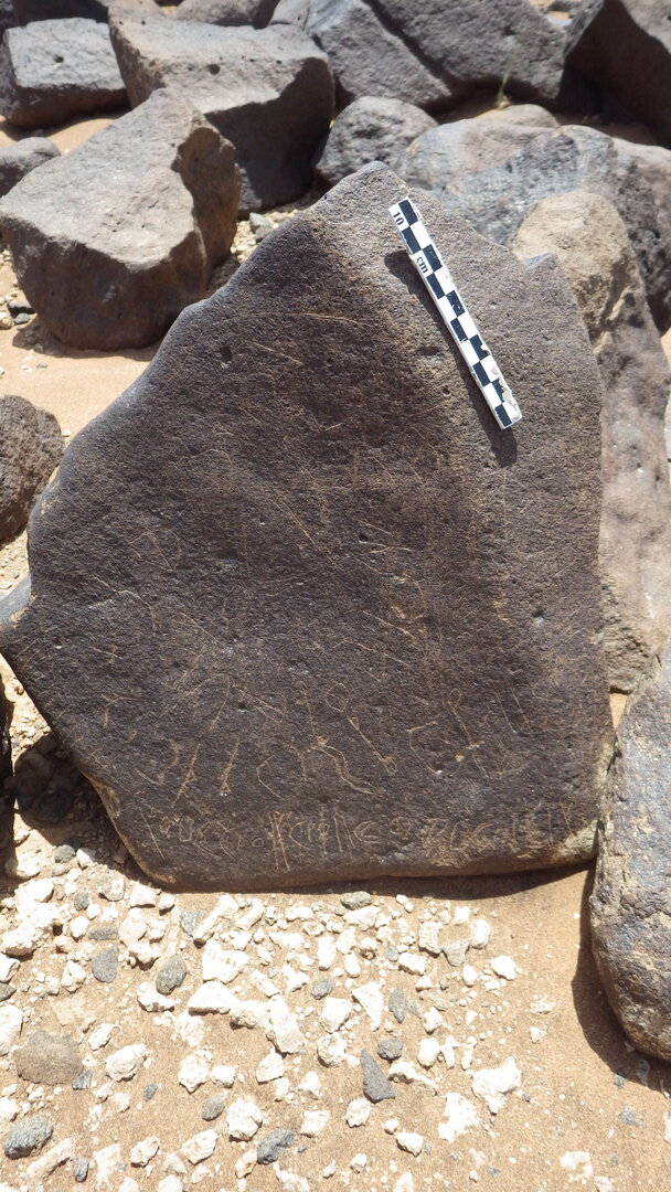 Rimg2515.jpg