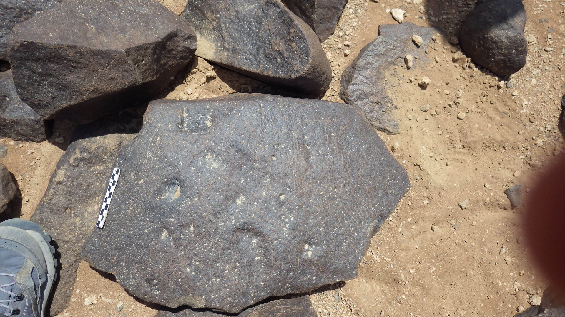Rimg2548.jpg