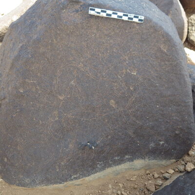 Rimg2558.jpg