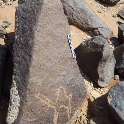 Rimg2564.jpg