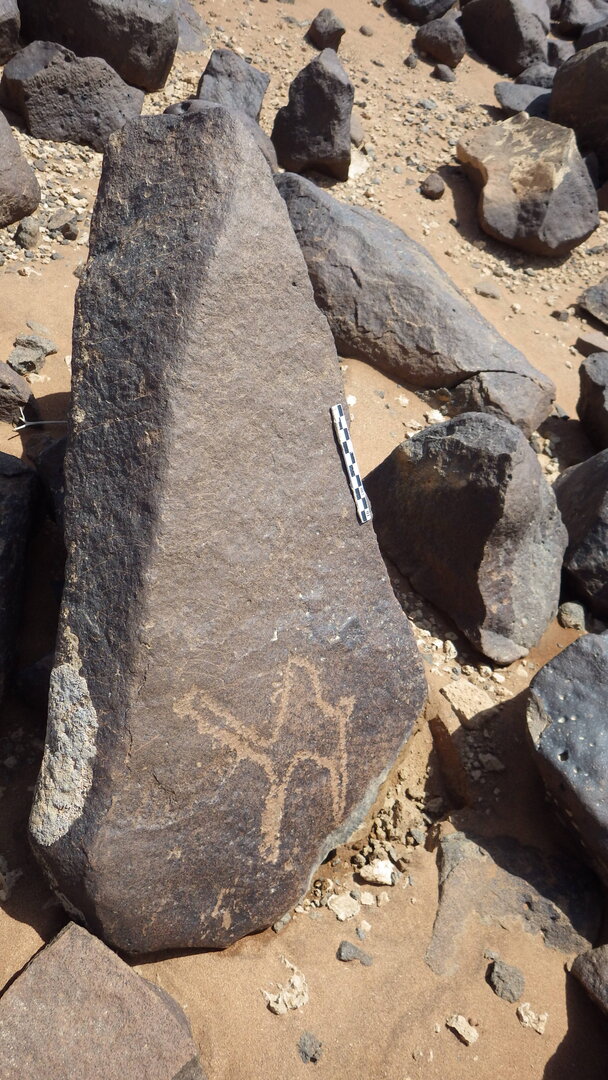 Rimg2564.jpg