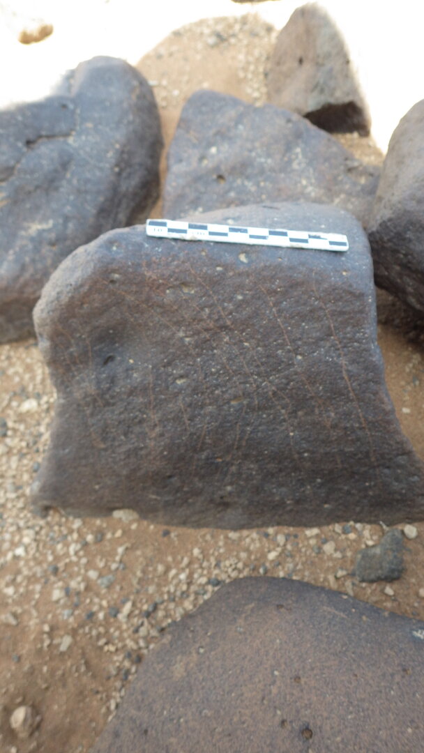 Rimg2575.jpg