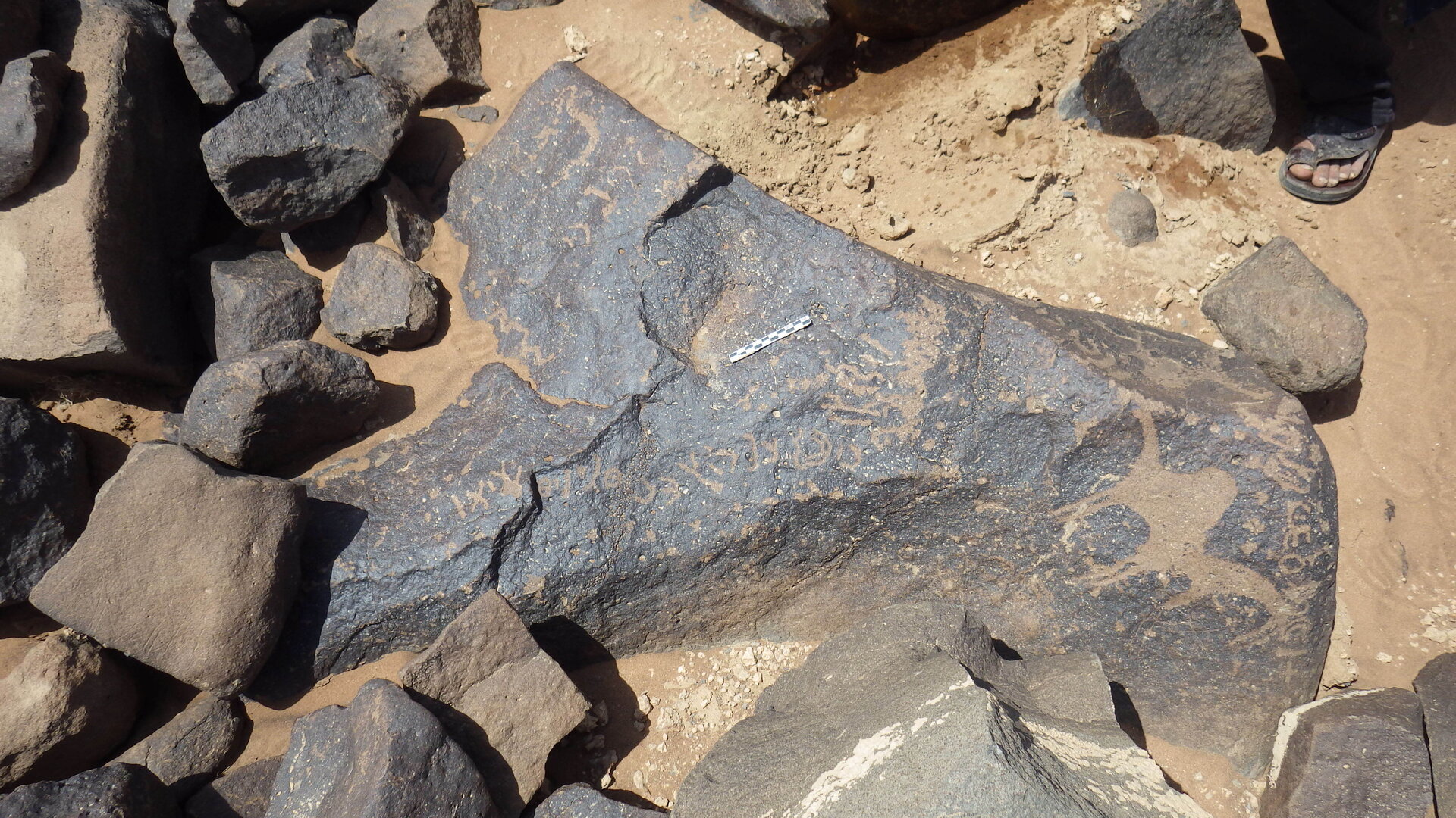 Rimg2608.jpg