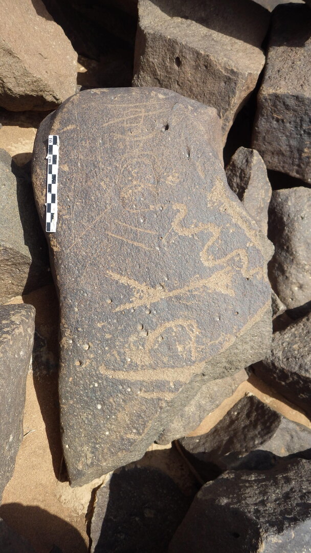 Rimg2626.jpg