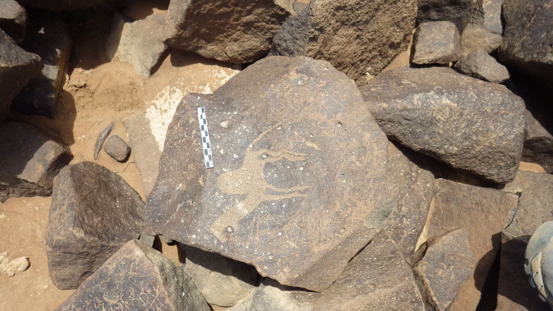 Rimg2628.jpg