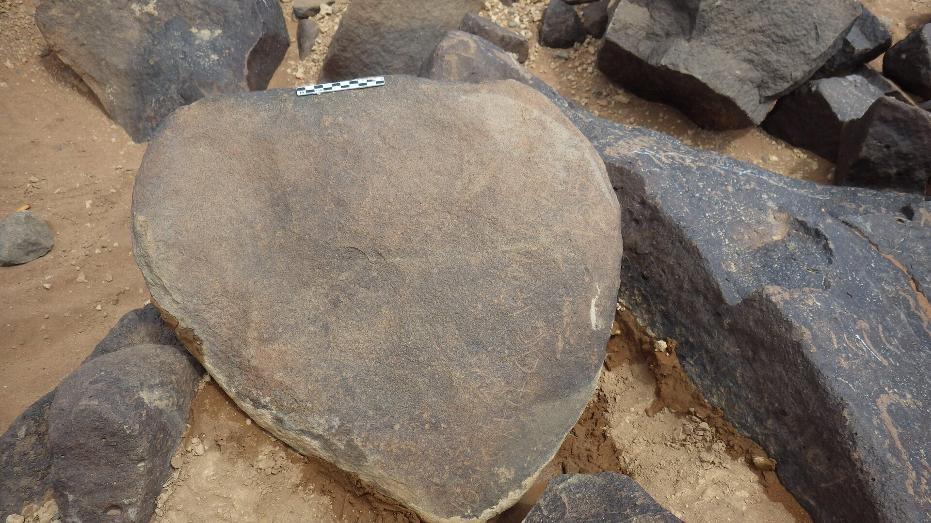 Rimg2649.jpg
