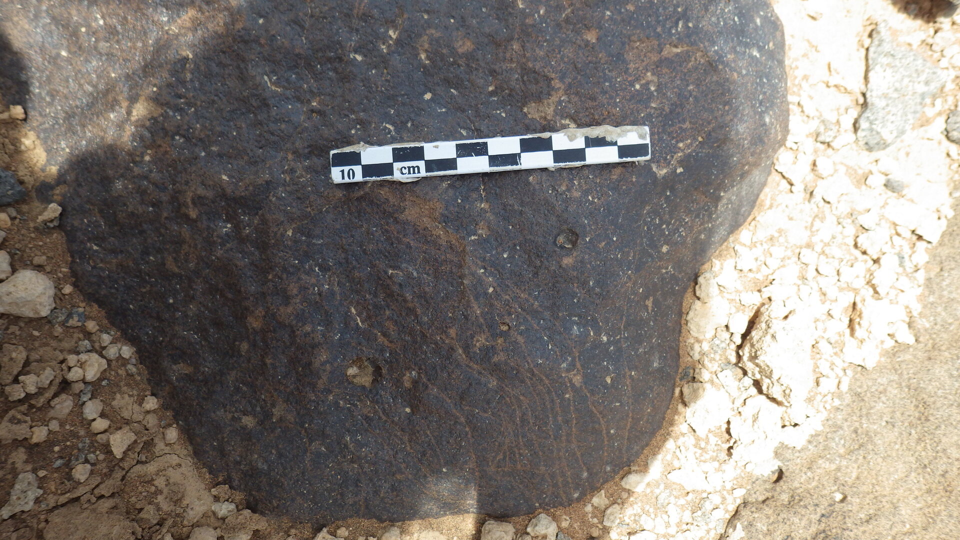 Rimg2669.jpg