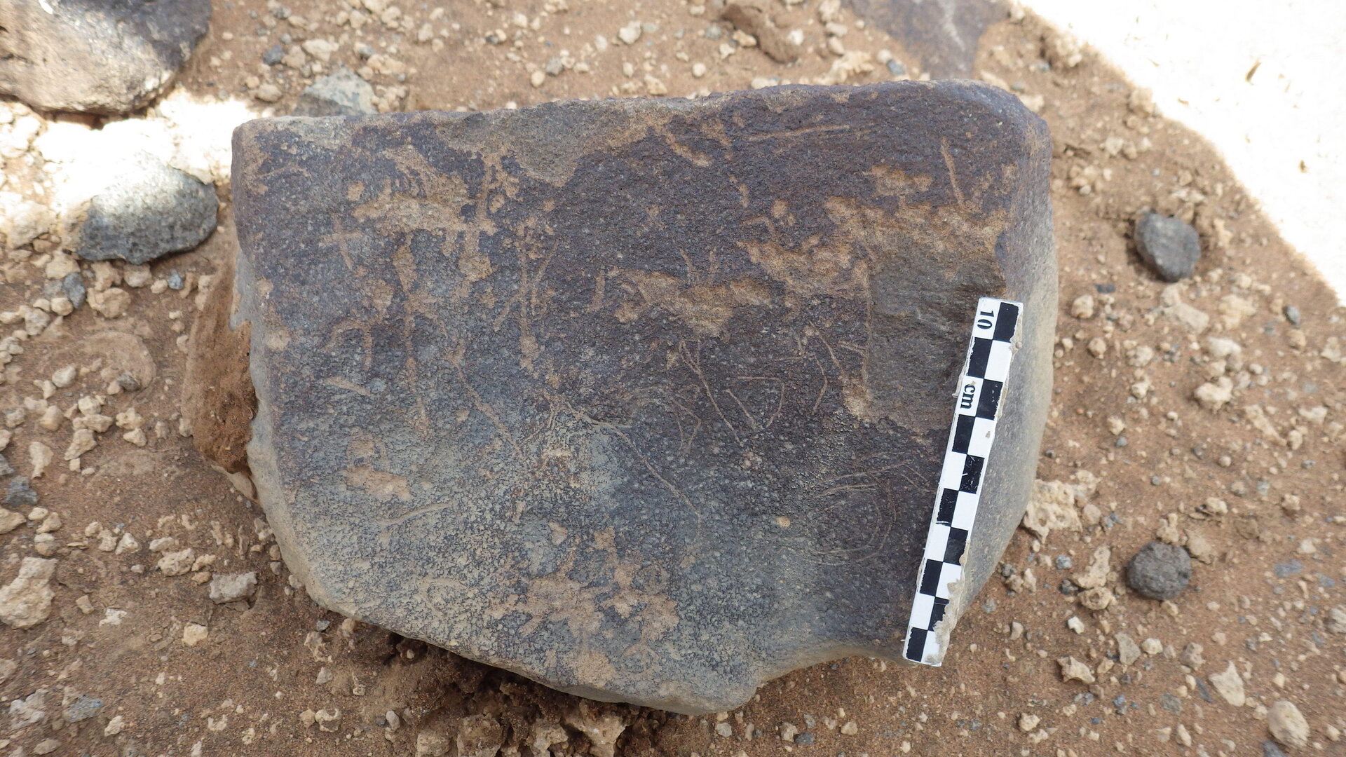 Rimg2671.jpg