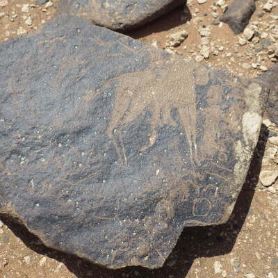 Rimg2743.jpg