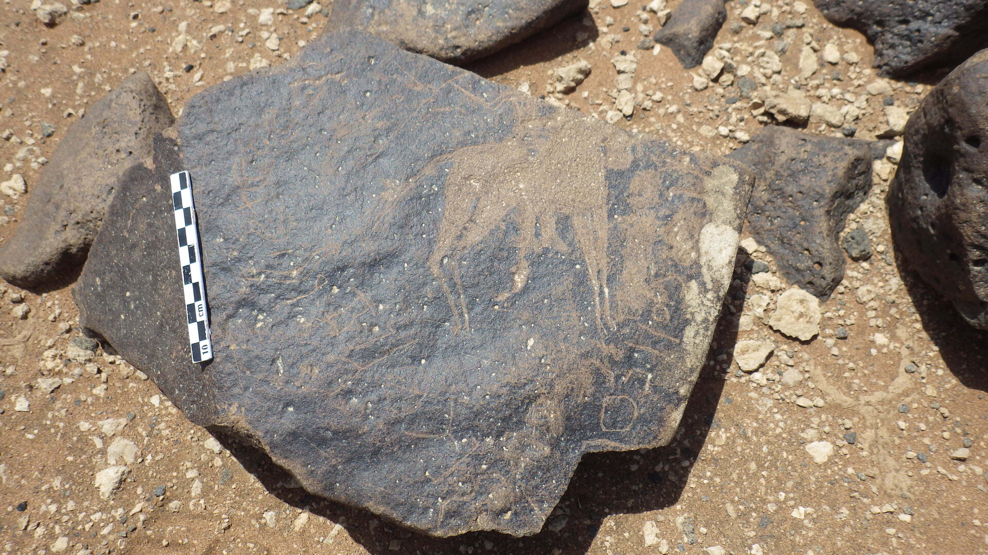Rimg2743.jpg