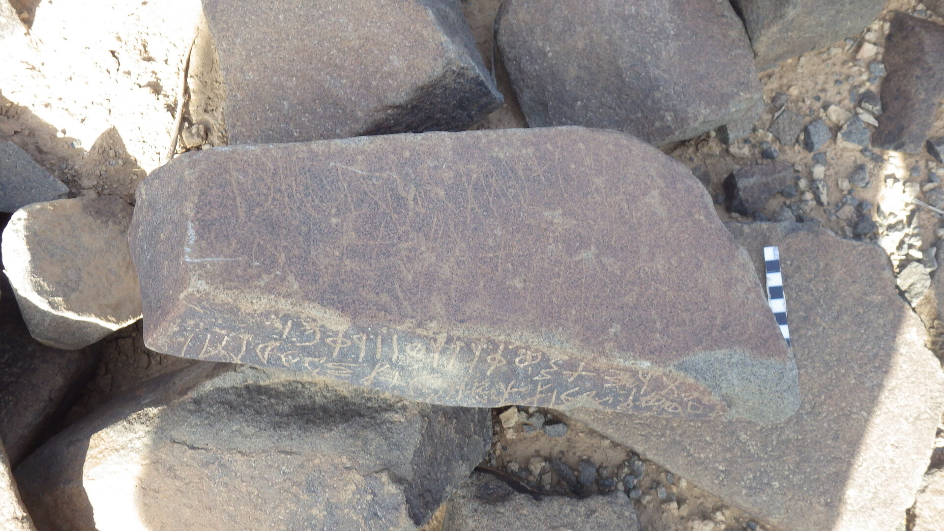 Rimg3537.jpg