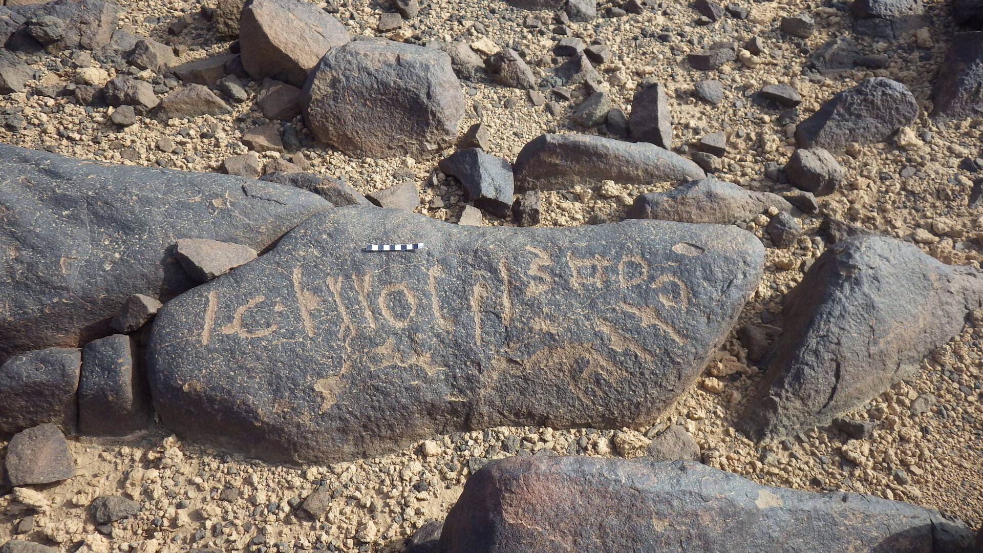 Rimg3400.jpg