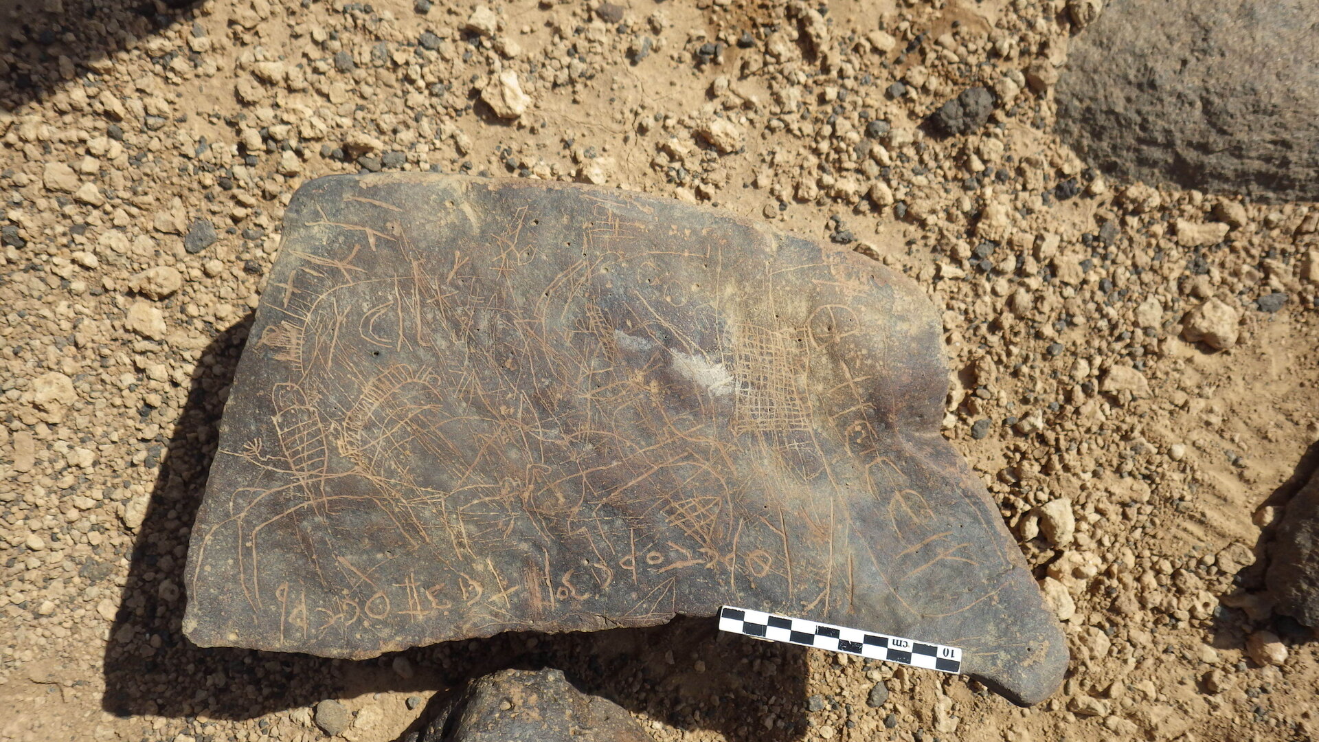 Rimg2853.jpg