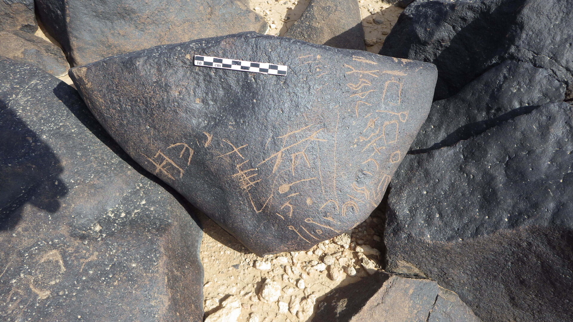 Rimg2874.jpg