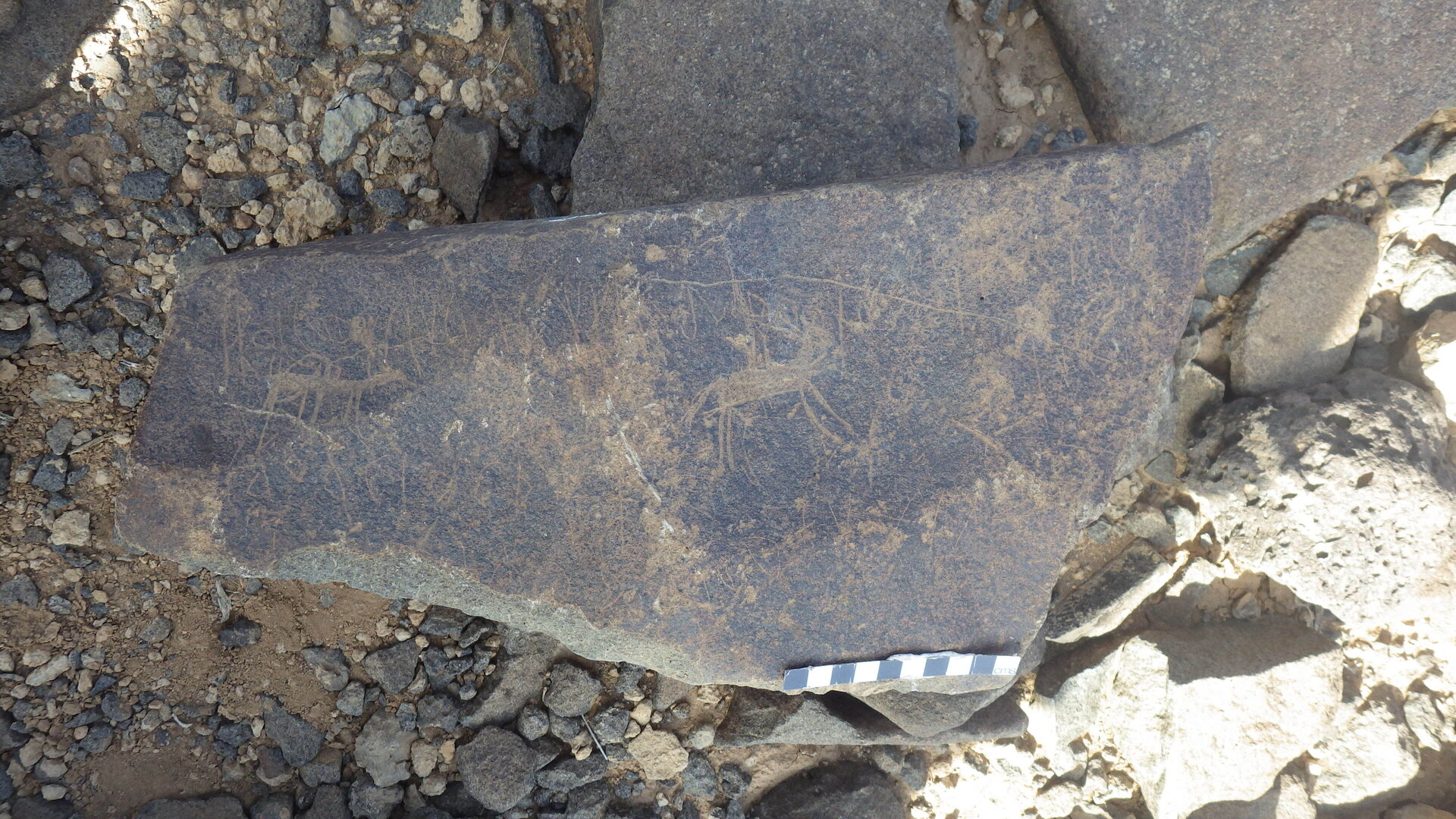 Rimg3554.jpg