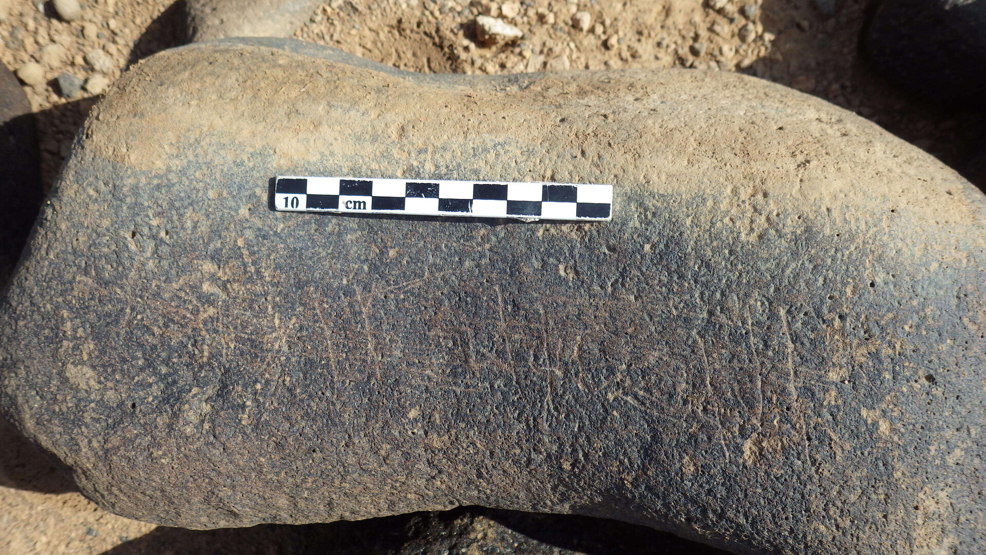 Rimg2895.jpg