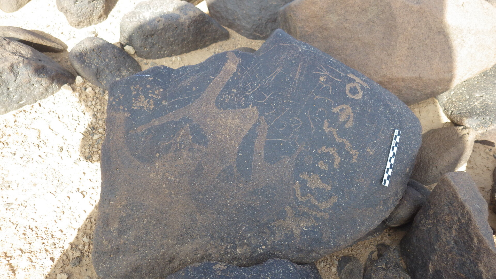 Rimg2896.jpg