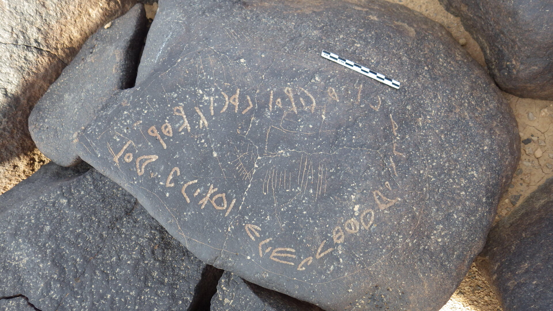 Rimg2919.jpg